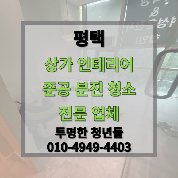 투명한청년들 이미지