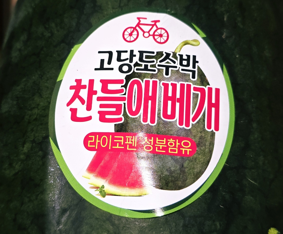 찬들애 이미지