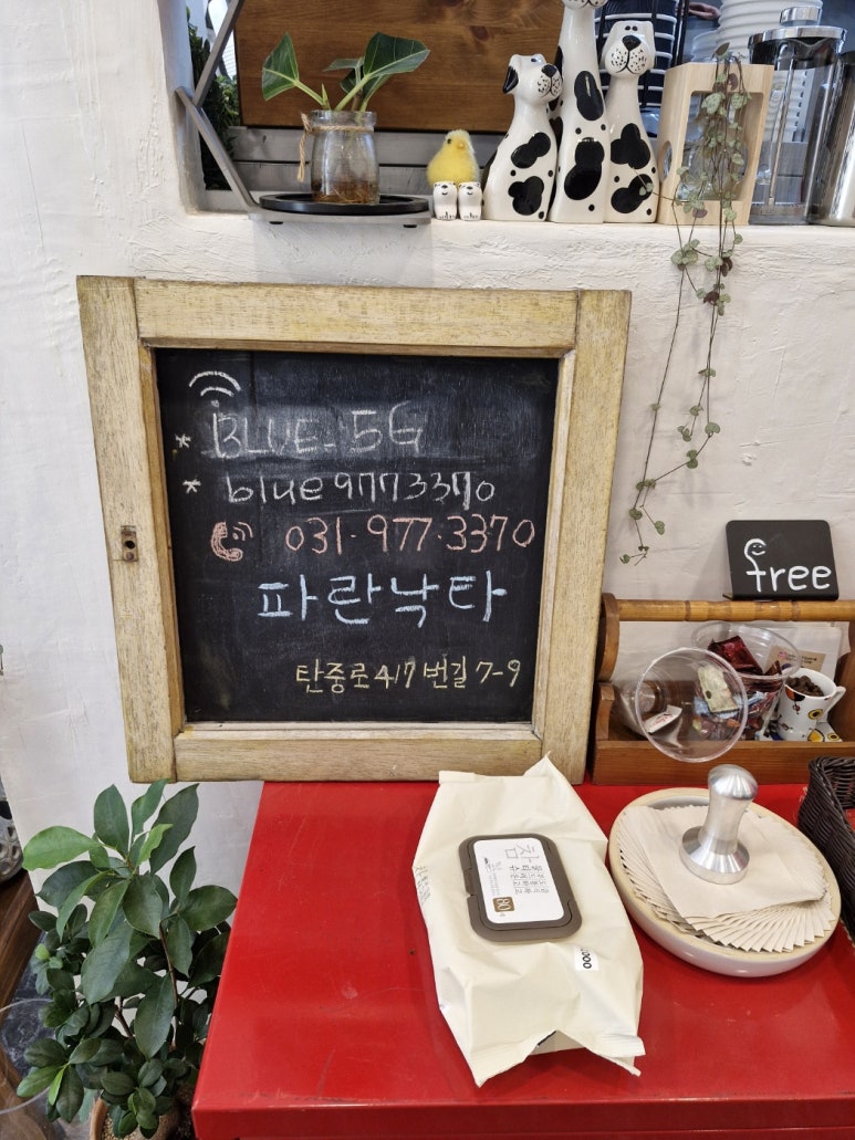 파란낙타 이미지