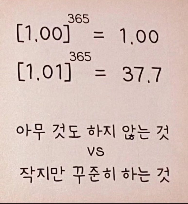 디베이크샵 이미지