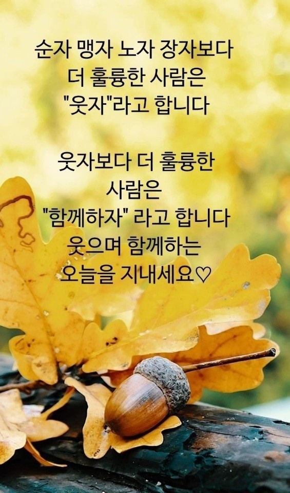 다나은세상 이미지