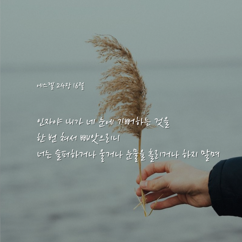 오홀리 이미지