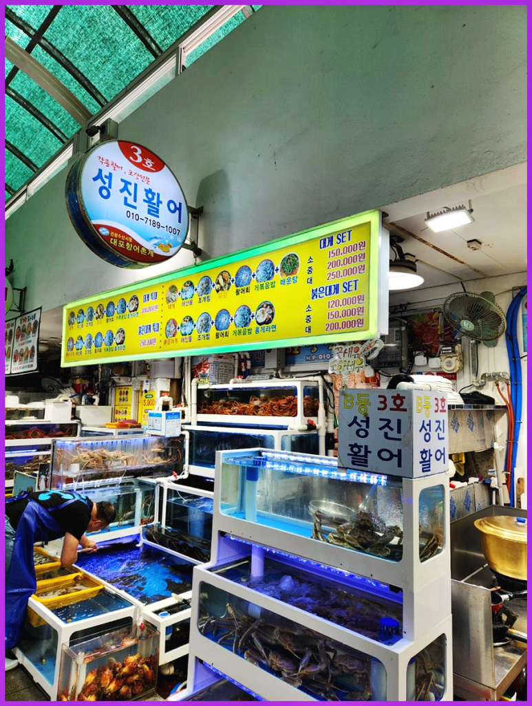 활어바다친구 이미지