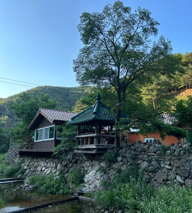 샘터흑염소 이미지