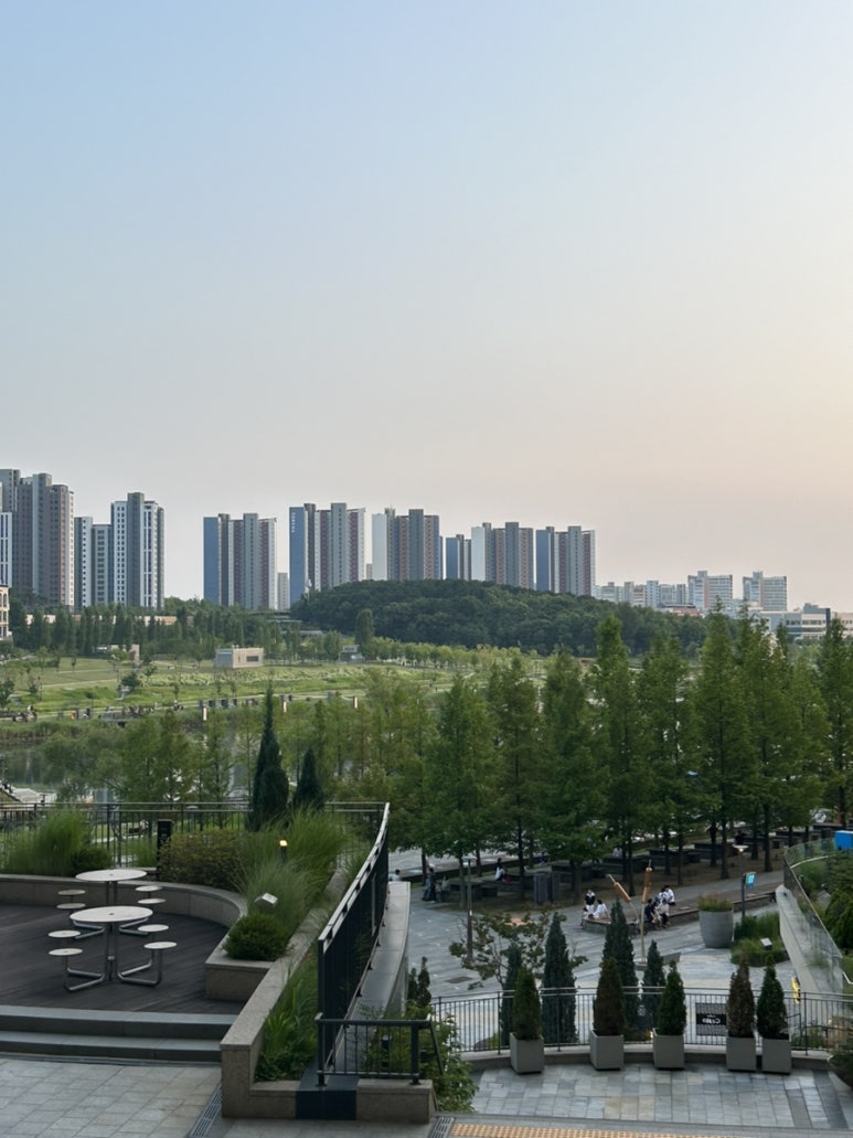 빤닭빤닭 이미지