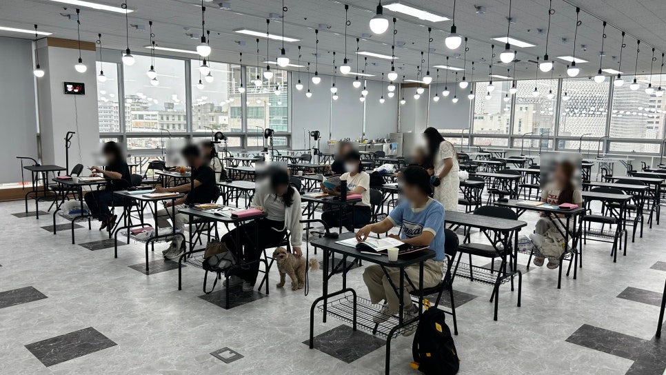 대전애견미용학원 이미지