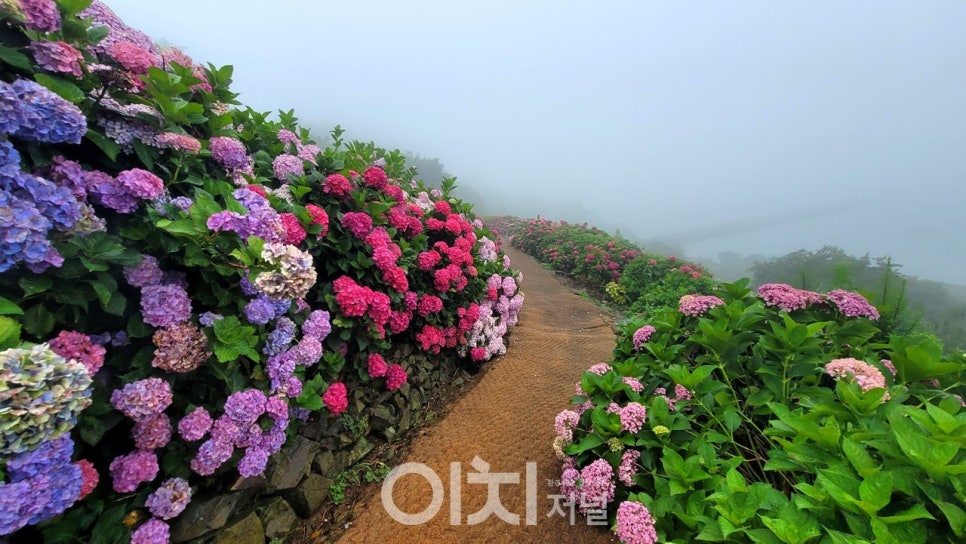 바다가 정원 이미지