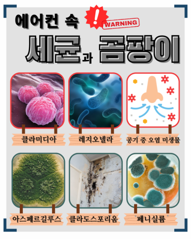 랜탑 이미지