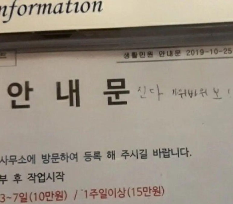 여행주 이미지