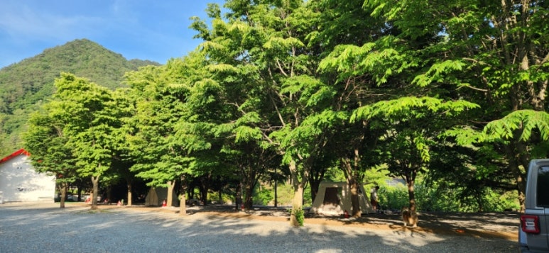케로아인캠프 이미지