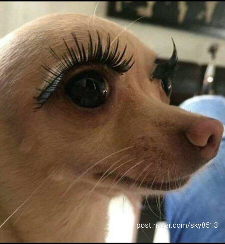 아이러브브로우 이미지