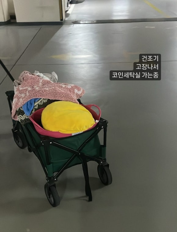 펭귄세탁 이미지