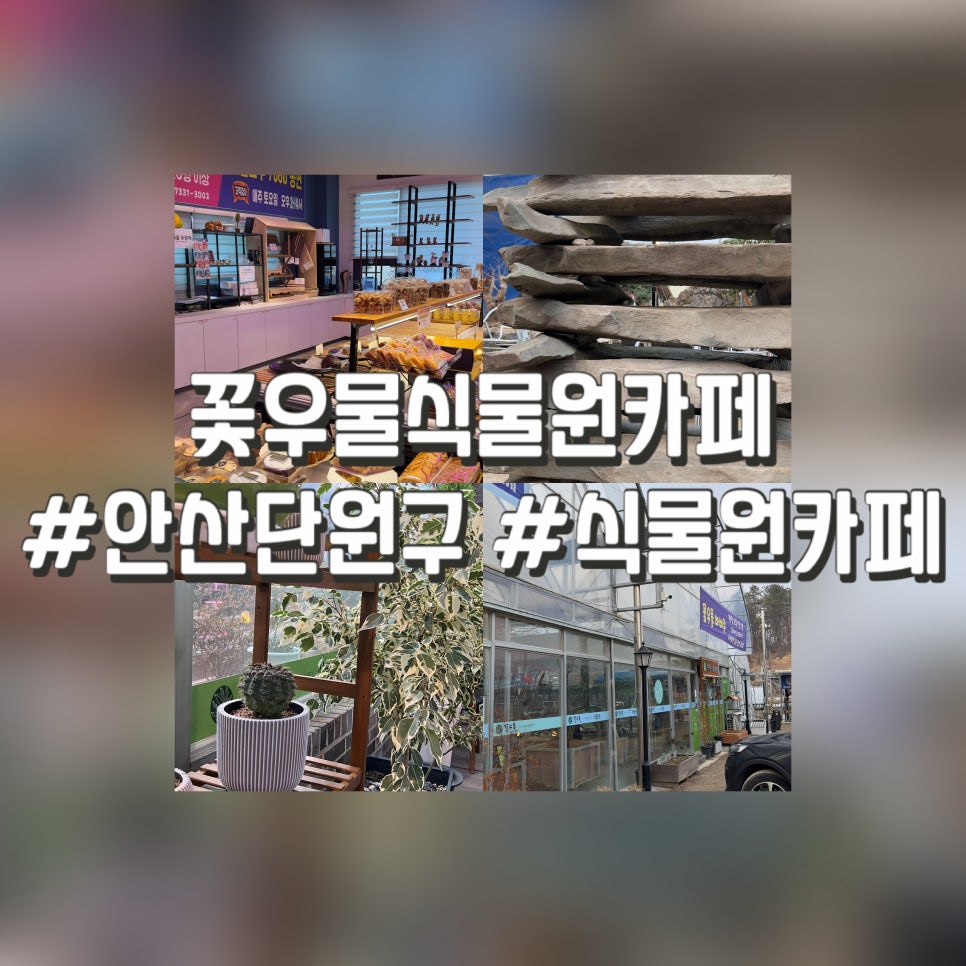 제주커피식물원 이미지
