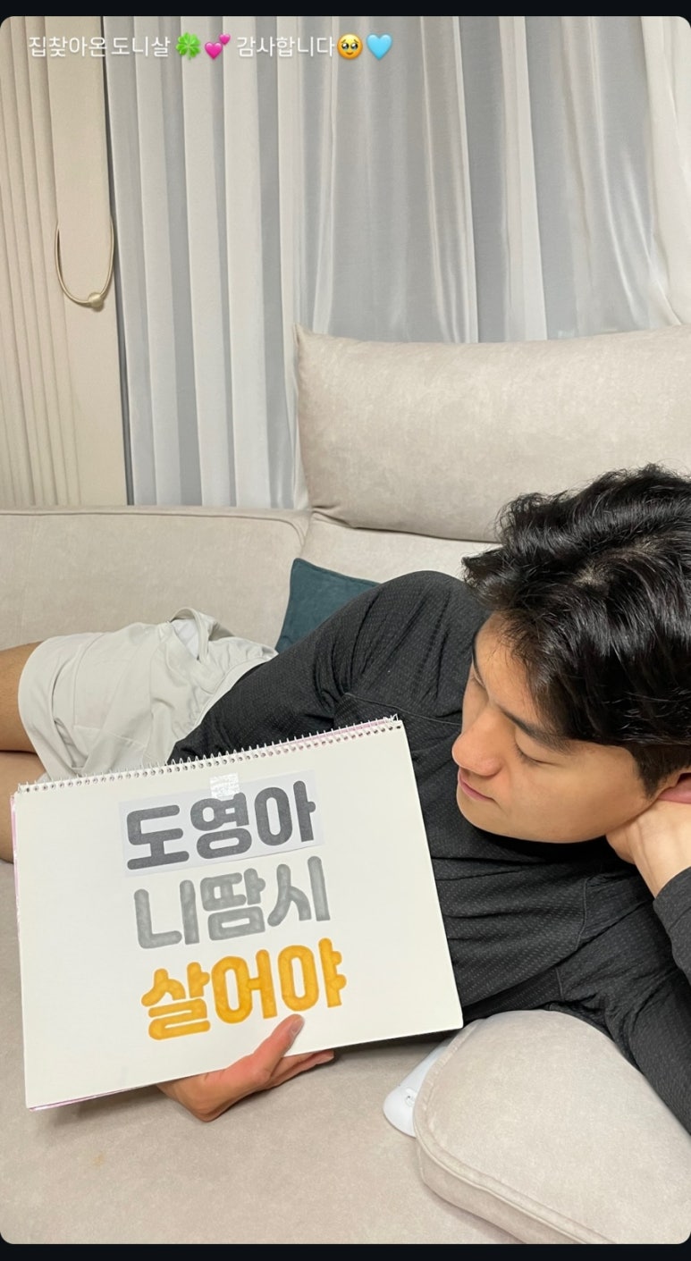 하시루 이미지