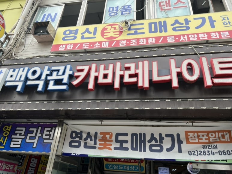 에덴주단 이미지