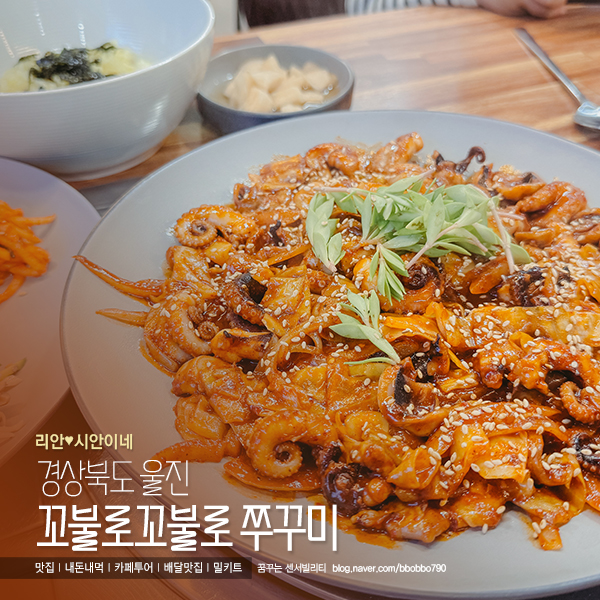 꼬불로꼬불로쭈꾸미 이미지