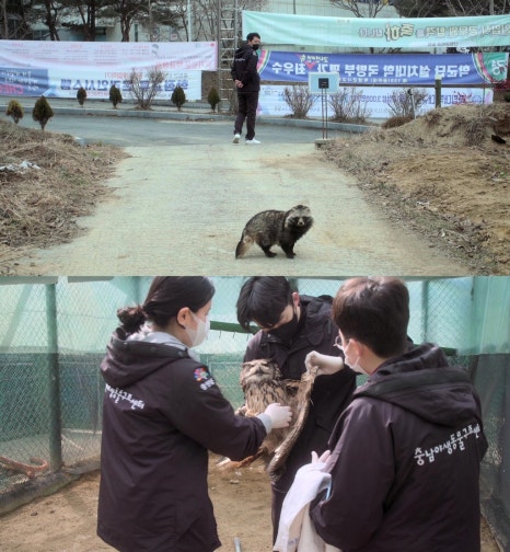 생츄어리 이미지