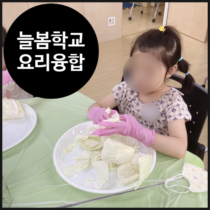 오해피데이지 이미지
