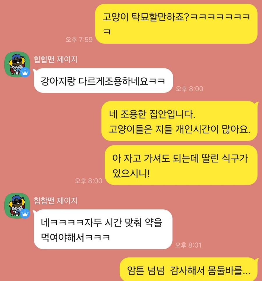 고양이 방문 탁묘 후기: 펫인플루언서의 세심한 돌봄 경험 — 사진 8