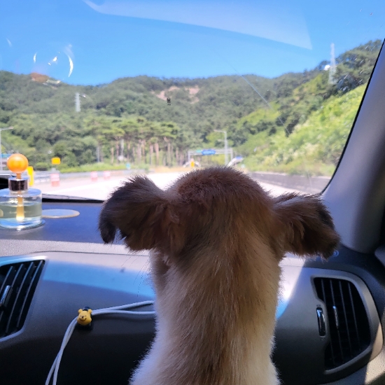 스며들펜션 이미지