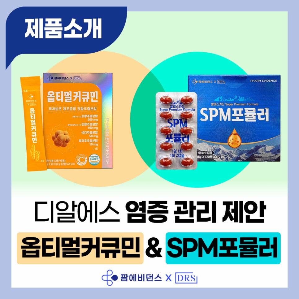 비던스 이미지
