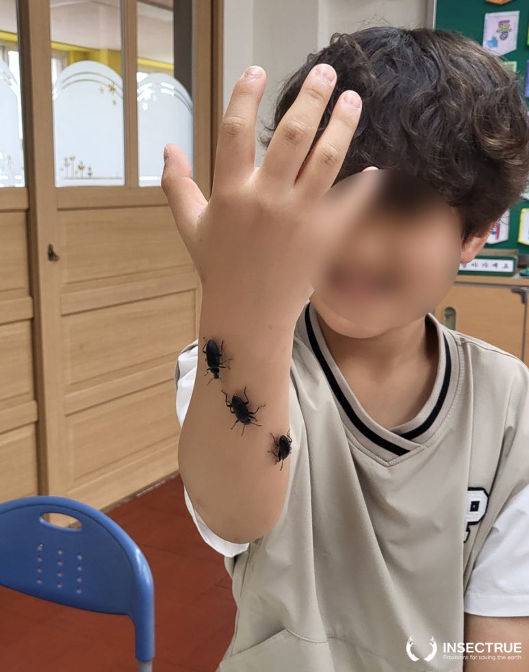 금명초등학교 이미지
