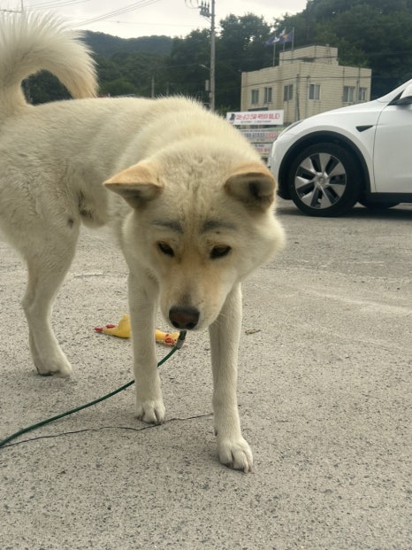 구래주유소 이미지