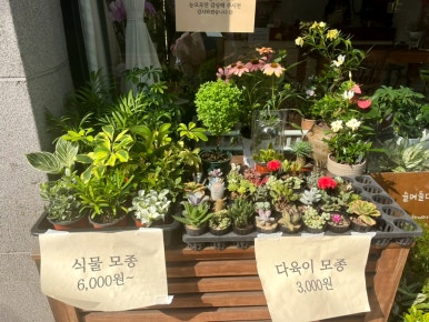 슬며들다.꽃 이미지