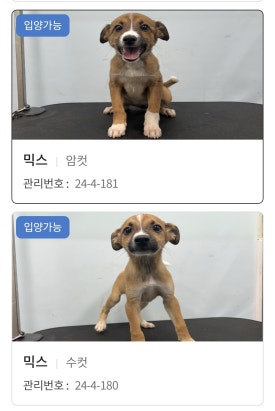 한성엘피지 이미지