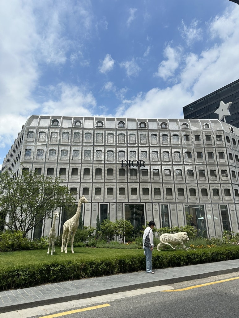 돈룩업수지구청 이미지