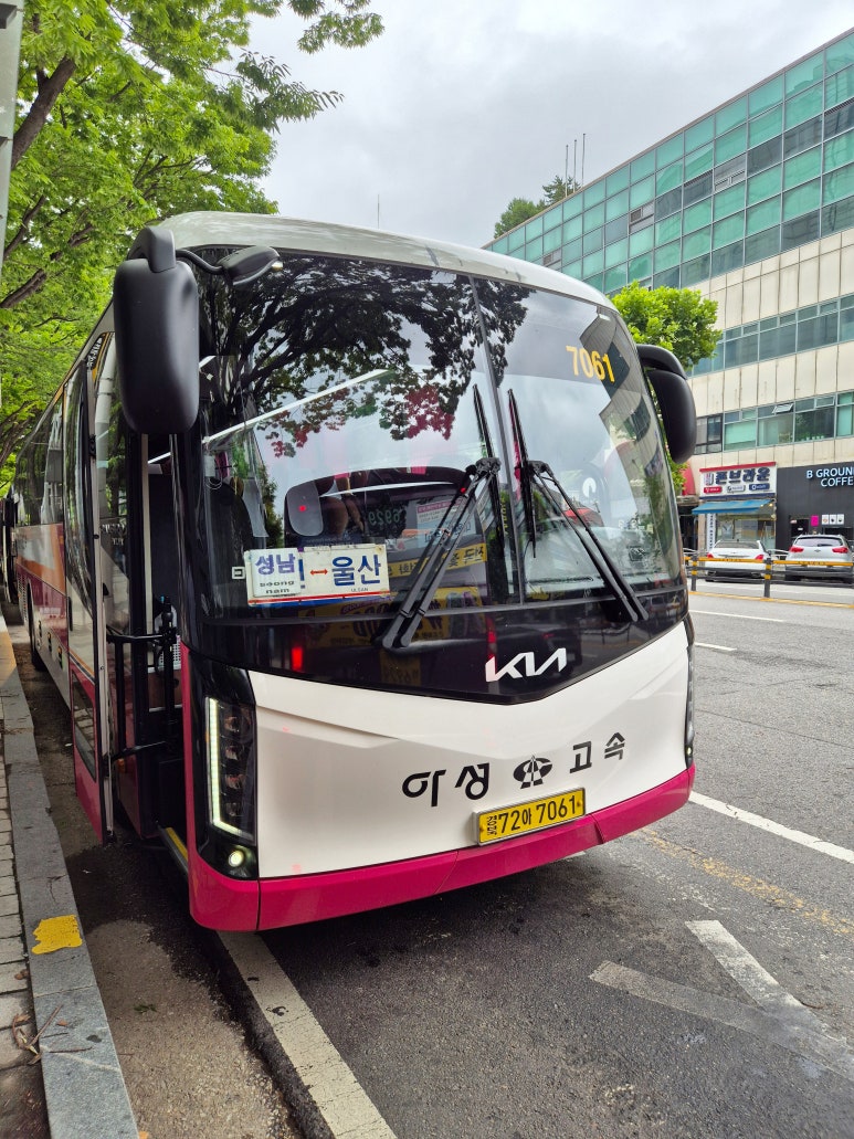 성남아성 이미지