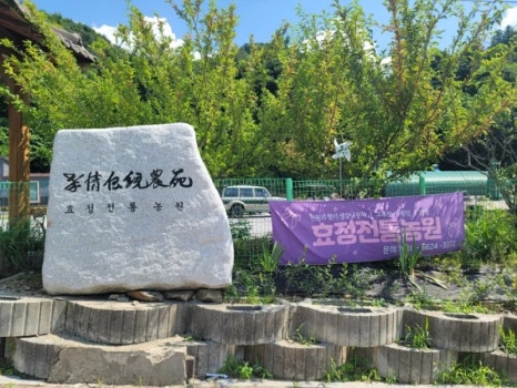 효정전통농원 이미지