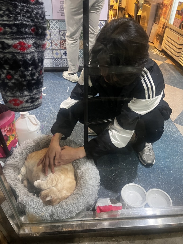 호락PC방 이미지