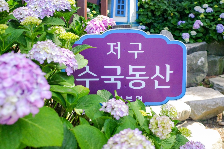 동산관광주 이미지