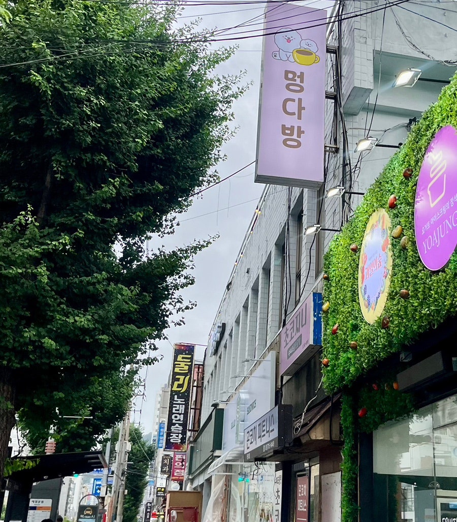 에덴다방 이미지