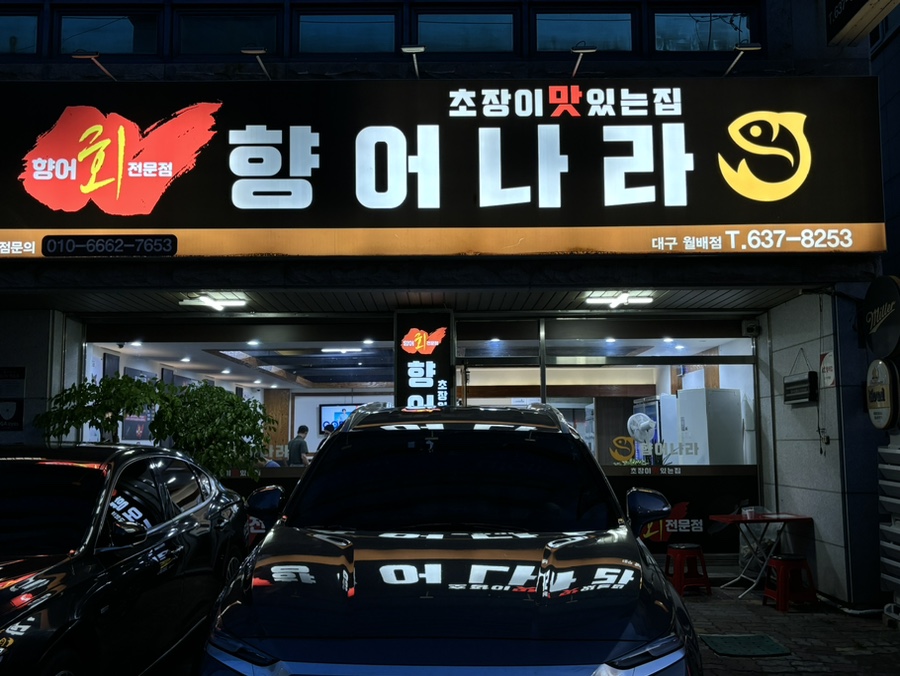 향어나라 이미지