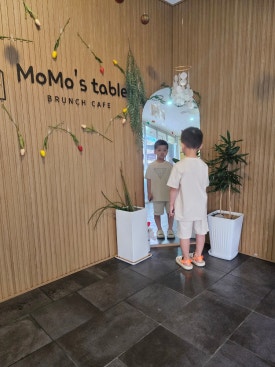 모모스테이블 이미지