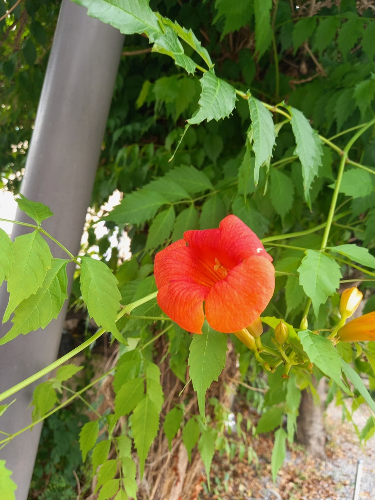 명보다방 이미지