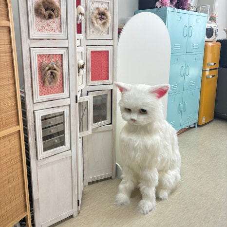 소소한작당 이미지