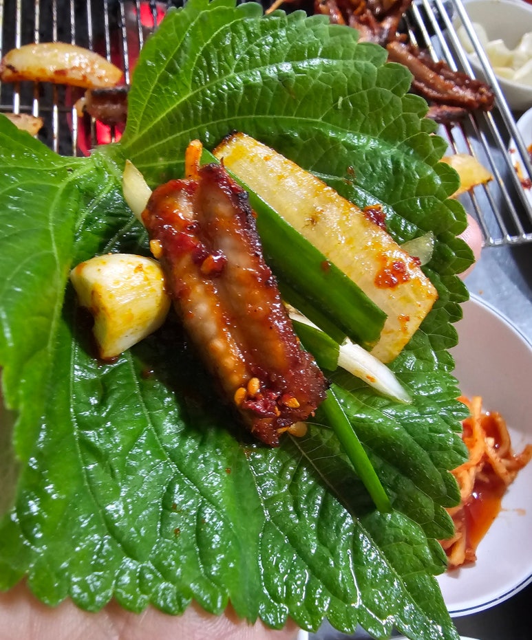 불티꼼장어 이미지
