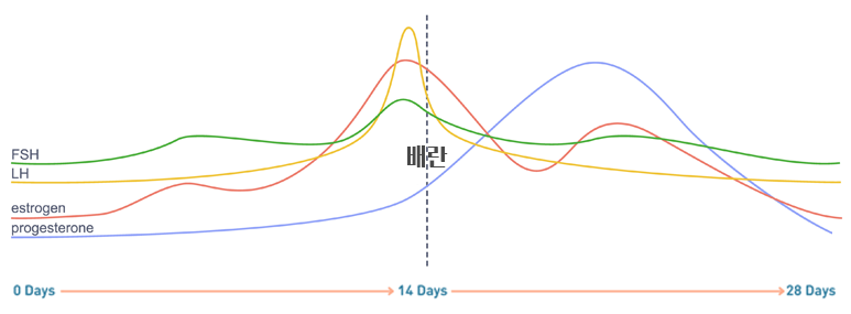 오오핏 이미지