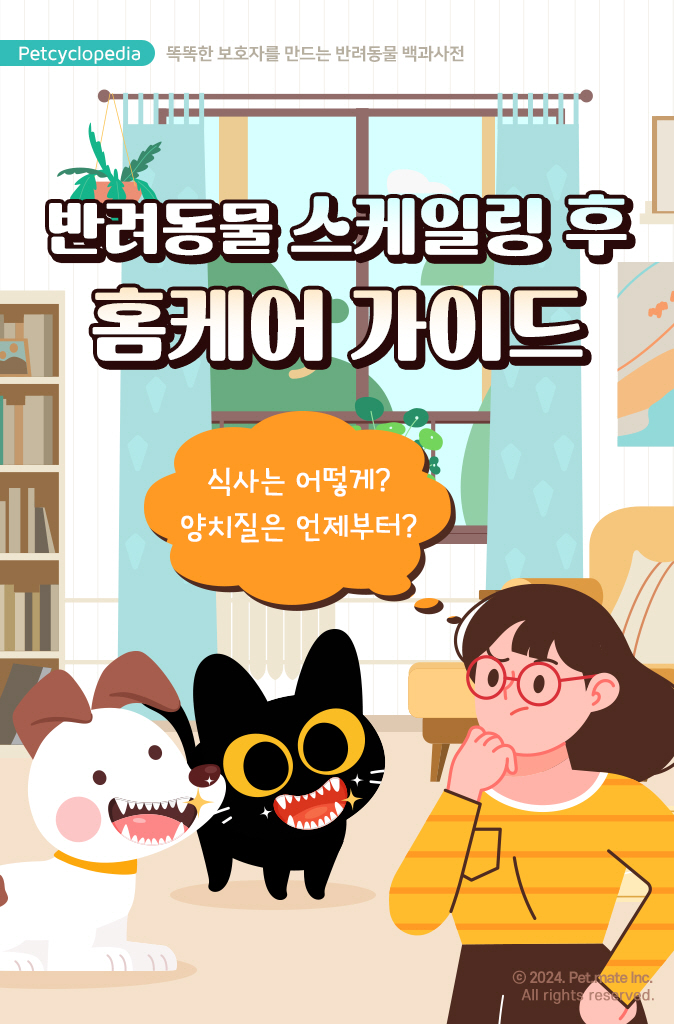 행복한홈케어 이미지