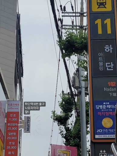 달리핀 에스테틱 이미지
