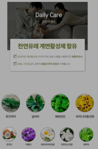 슈보헤어 이미지