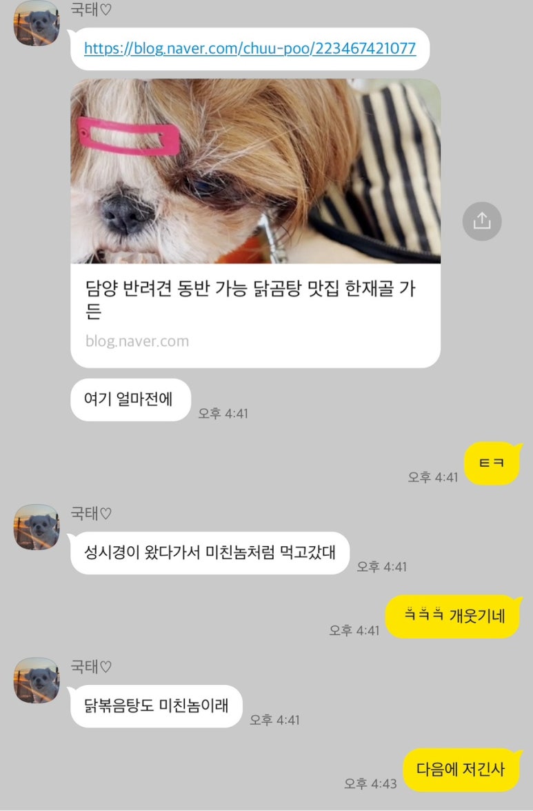치도(chido) 이미지