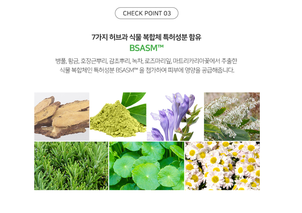 단디컴퍼니 이미지