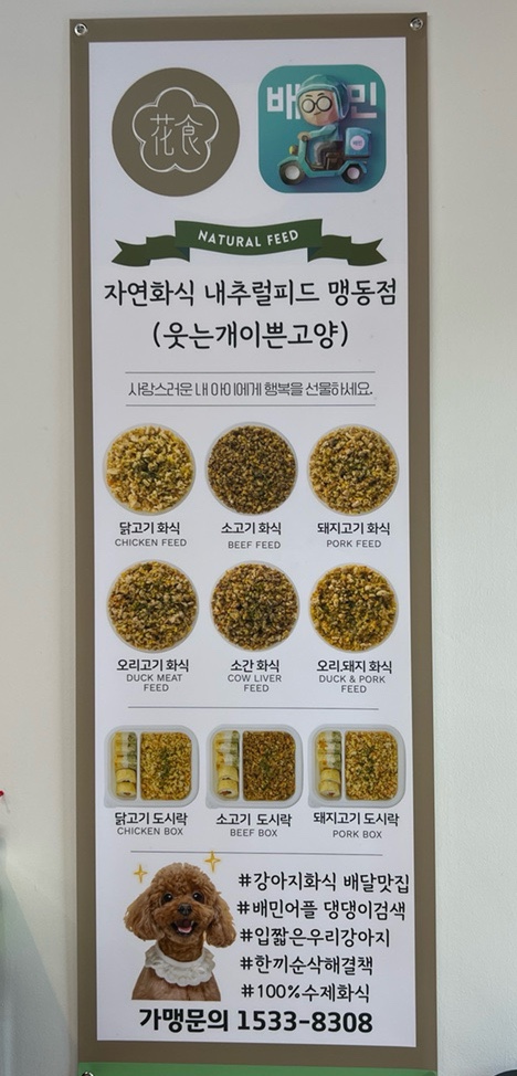 웃는개이쁜고양 이미지