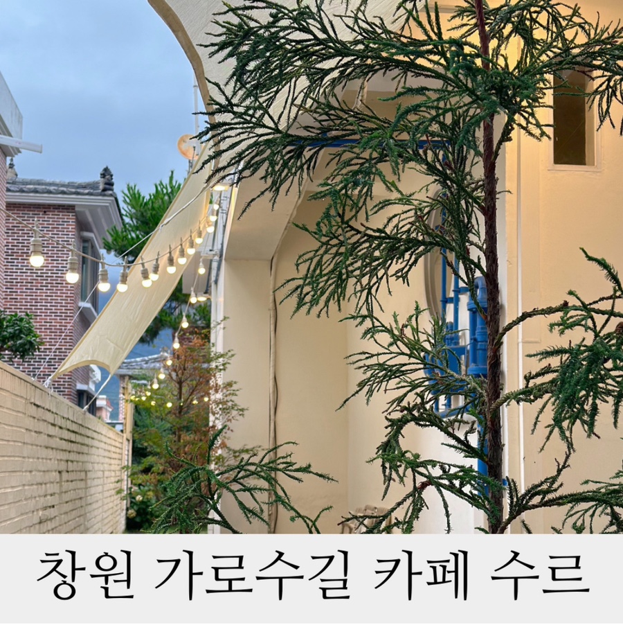 카페수르 이미지