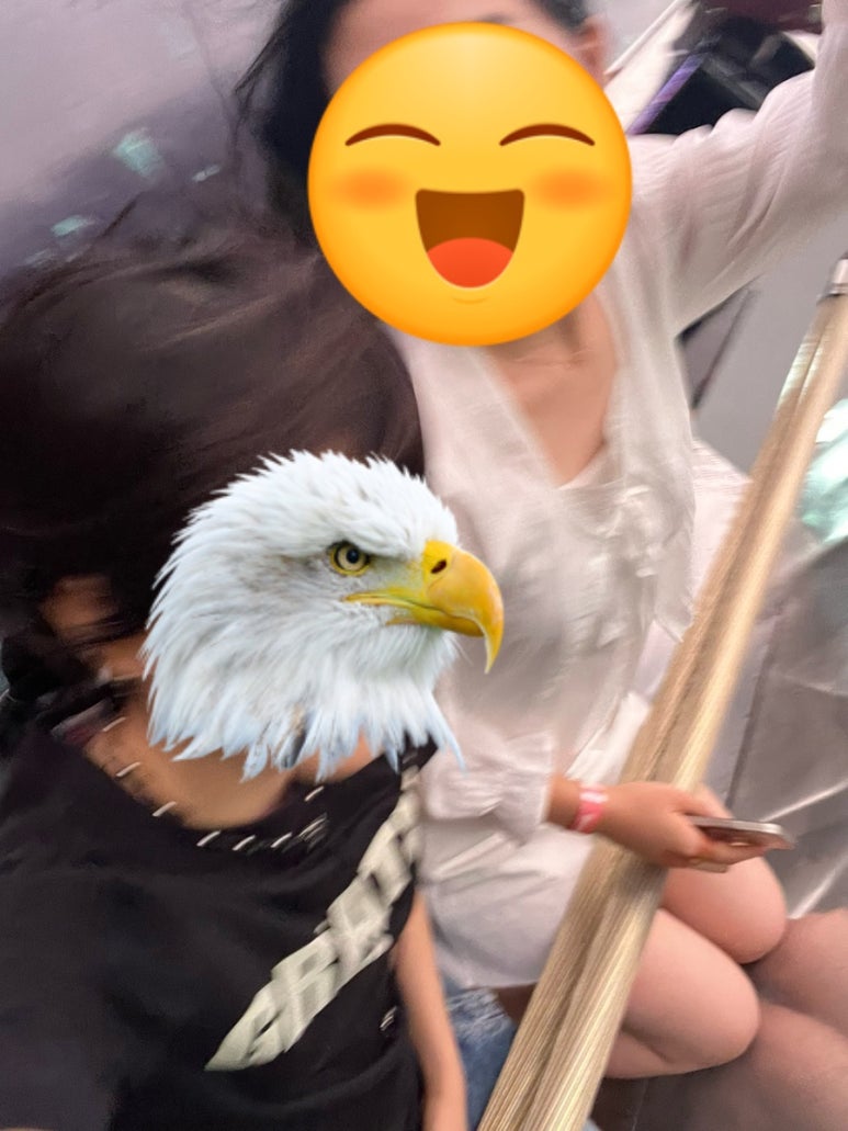 씨와이월드 이미지
