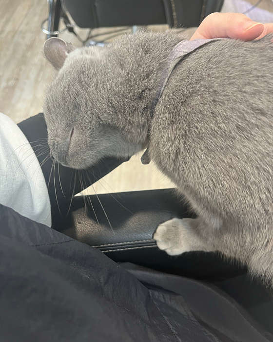 엠에스케이 이미지